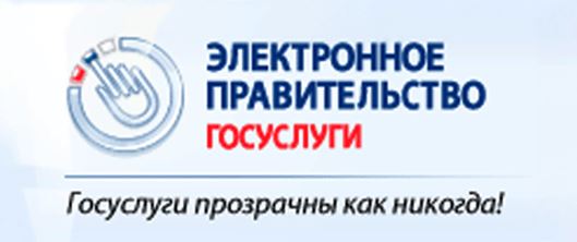 электронное правительство
